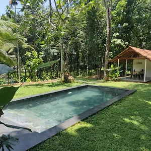 فيلة Pool - The Humming Trees, Pala, Lālam